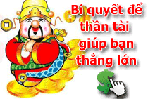  soi cau